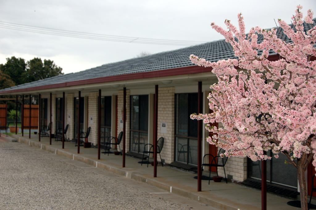 Motel Woongarra Rutherglen Esterno foto