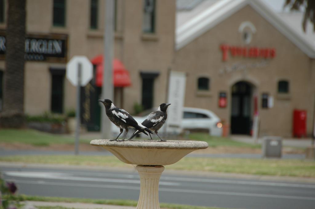 Motel Woongarra Rutherglen Esterno foto