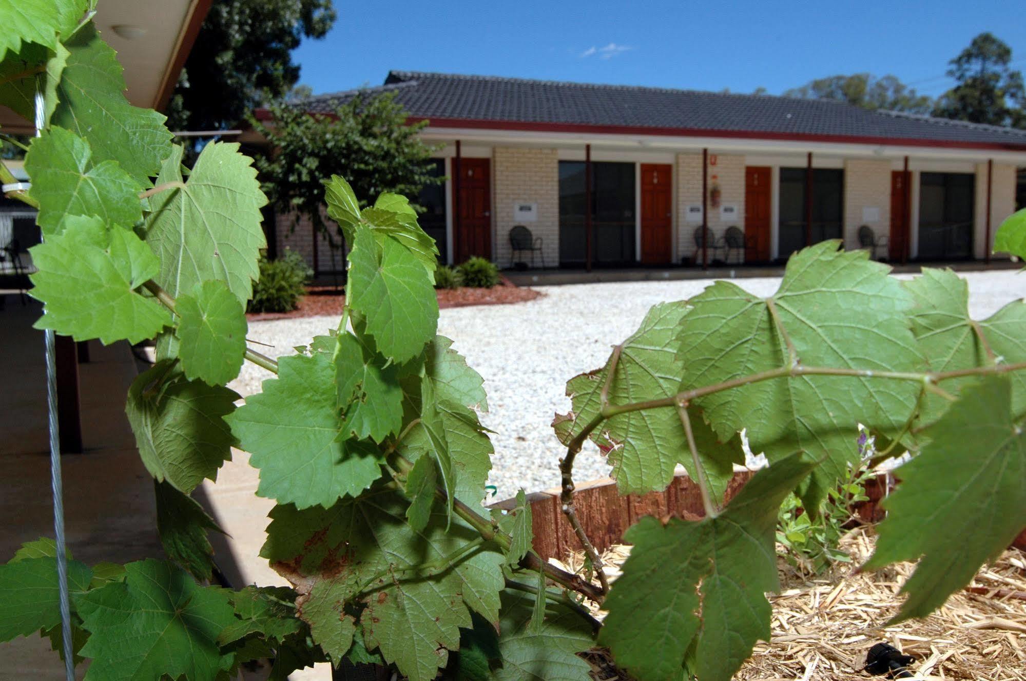 Motel Woongarra Rutherglen Esterno foto